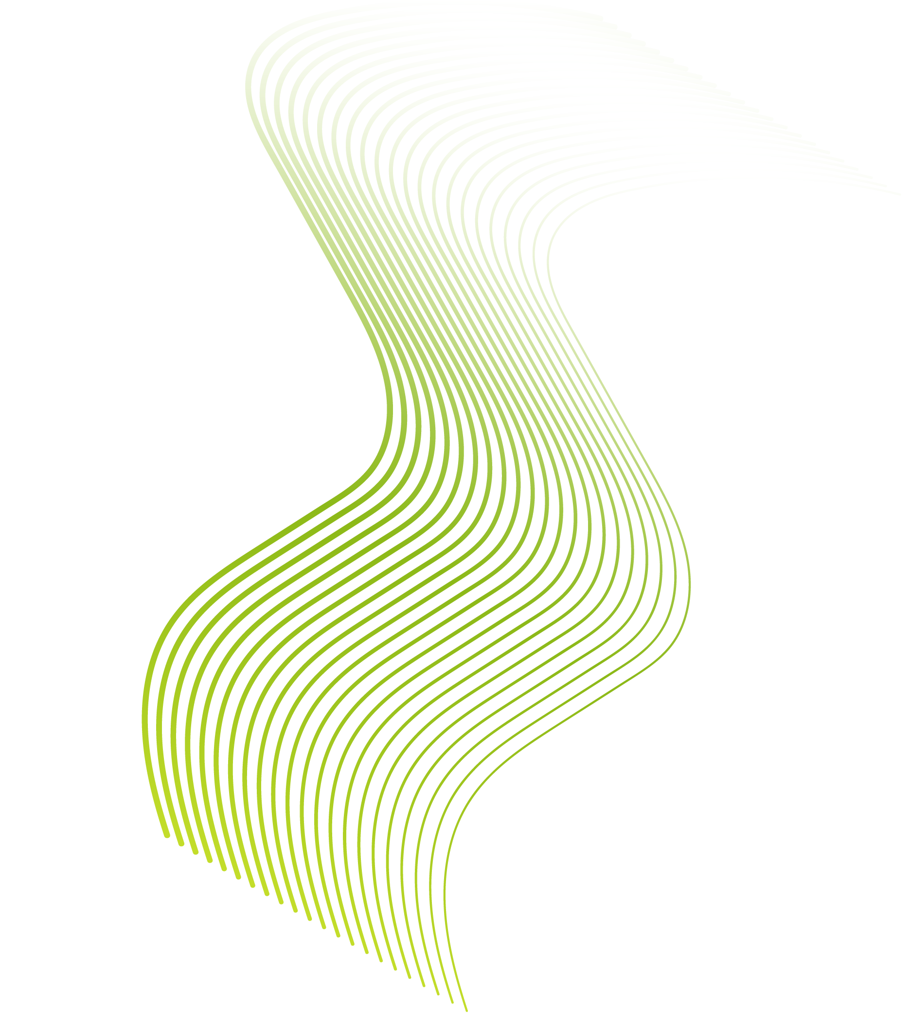 shape